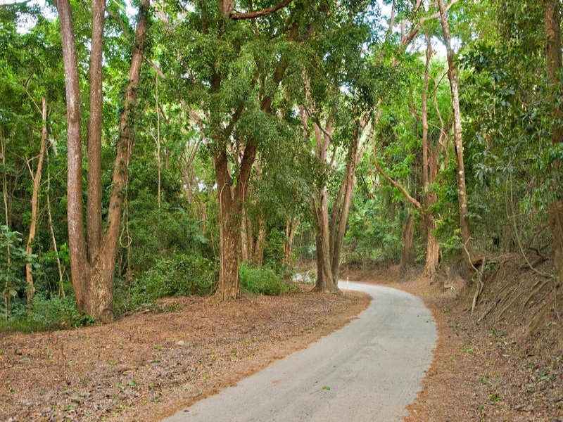 L38 Connolly Road, Mowbray QLD 4877