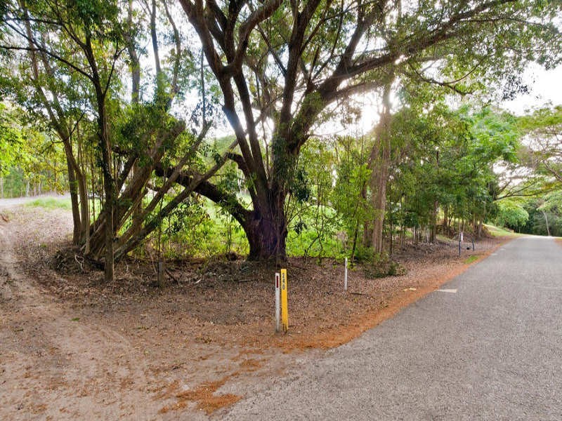 L53 Mowbray River Road, Mowbray QLD 4877