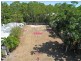 4 Andrews Close, Port Douglas QLD 4877