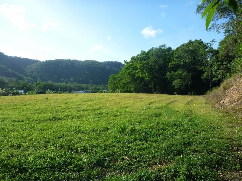 16 Thomson Low Drive, Shannonvale QLD 4873