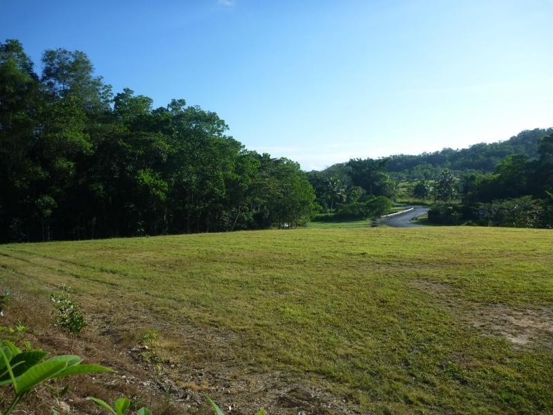 16 Thomson Low Drive, Shannonvale QLD 4873