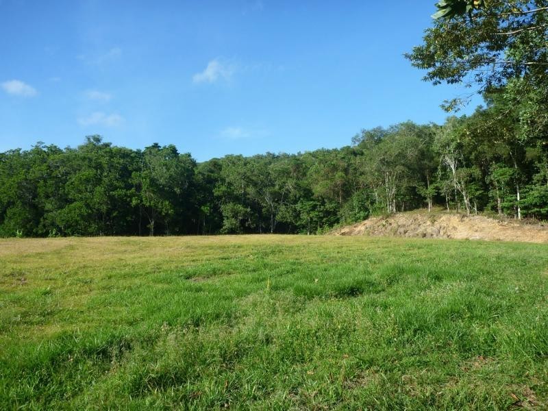 16 Thomson Low Drive, Shannonvale QLD 4873