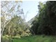 Lot 32 Spring Creek Road, Mowbray QLD 4877