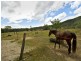 44 Borzi Road, Shannonvale QLD 4873