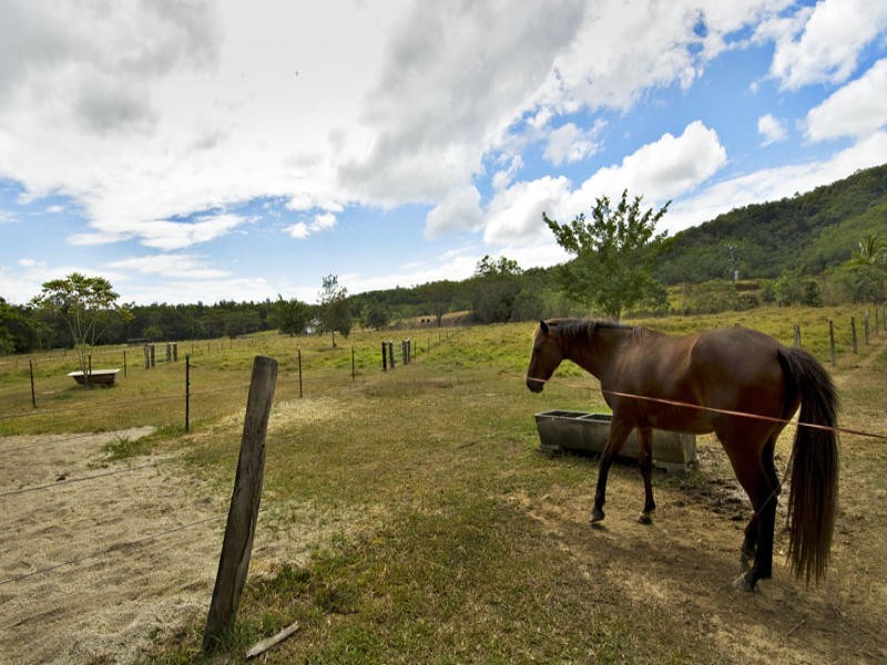 44 Borzi Road, Shannonvale QLD 4873