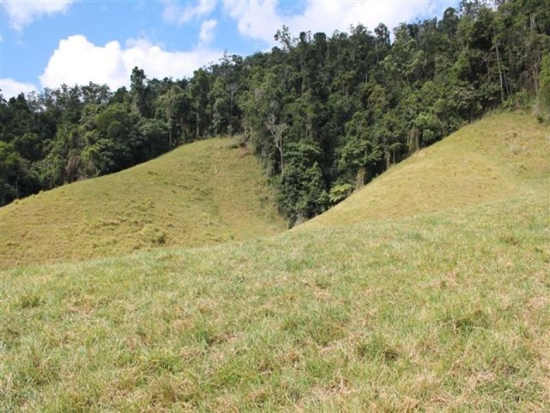 Lot 1 on SP251089 Stewart Creek Road, Daintree QLD 4873