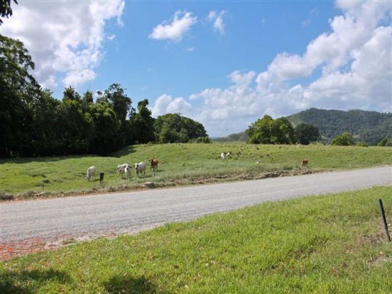 L1 Stewart Creek Road, Daintree QLD 4873