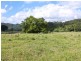 L1 Stewart Creek Road, Daintree QLD 4873