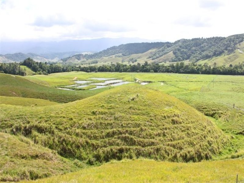 Lot 2 on SP251089 Stewart Creek Road, Daintree QLD 4873