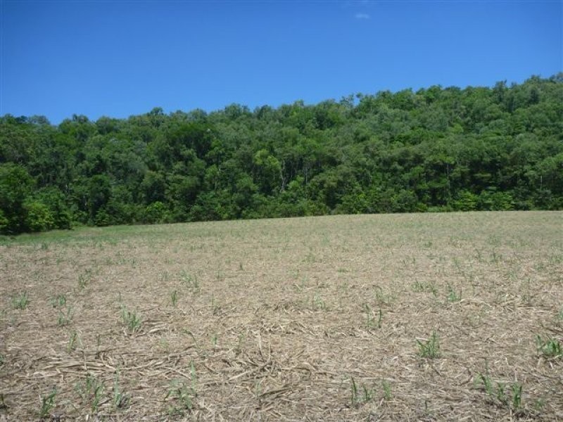 Lot 74 Ponzo Road, Shannonvale QLD 4873
