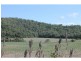 Lot 74 Ponzo Road, Shannonvale QLD 4873