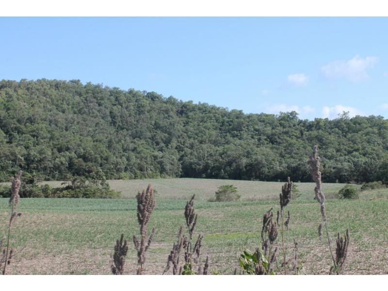 Lot 74 Ponzo Road, Shannonvale QLD 4873