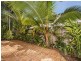 Unit 7/32-34 Mudlo Street, Port Douglas QLD 4877