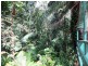 4 Gorge View Crescent, Mossman Gorge QLD 4873