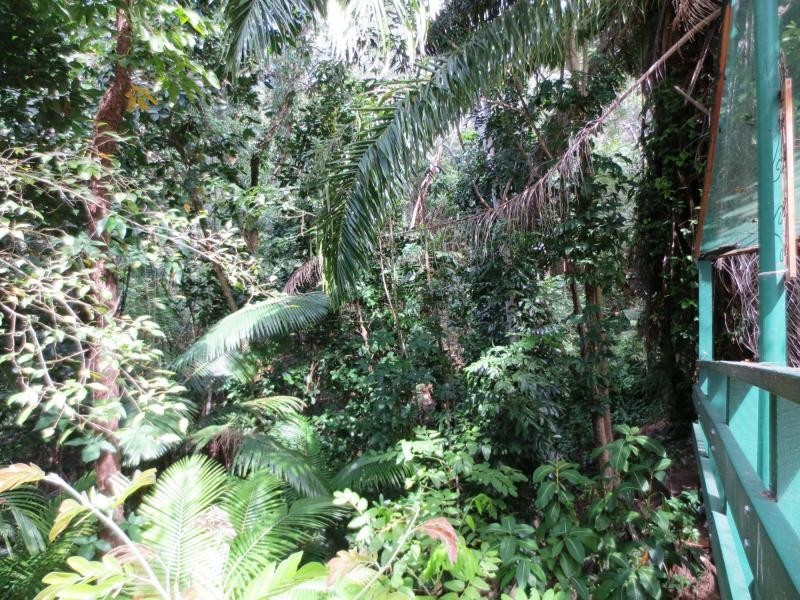 4 Gorge View Crescent, Mossman Gorge QLD 4873