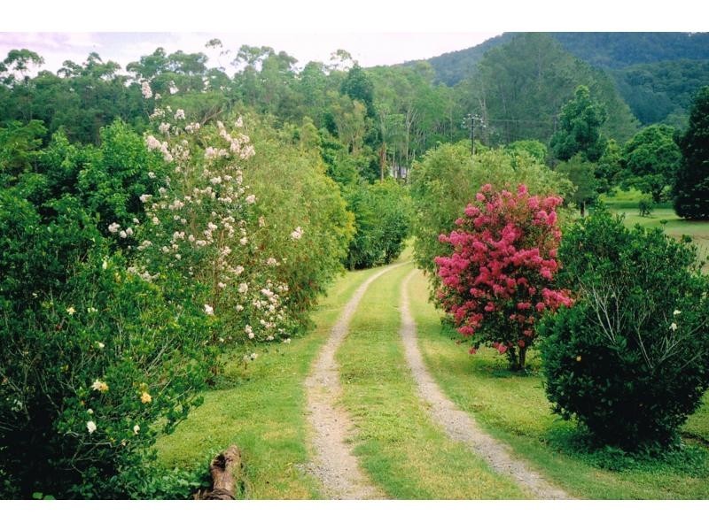 38 Churchill Creek Road, Julatten QLD 4871