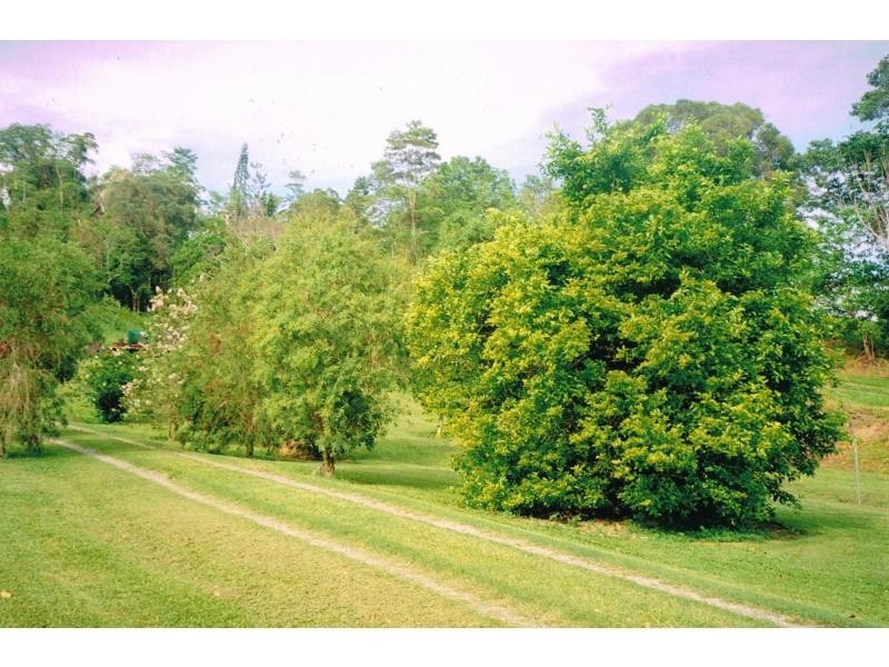 38 Churchill Creek Road, Julatten QLD 4871