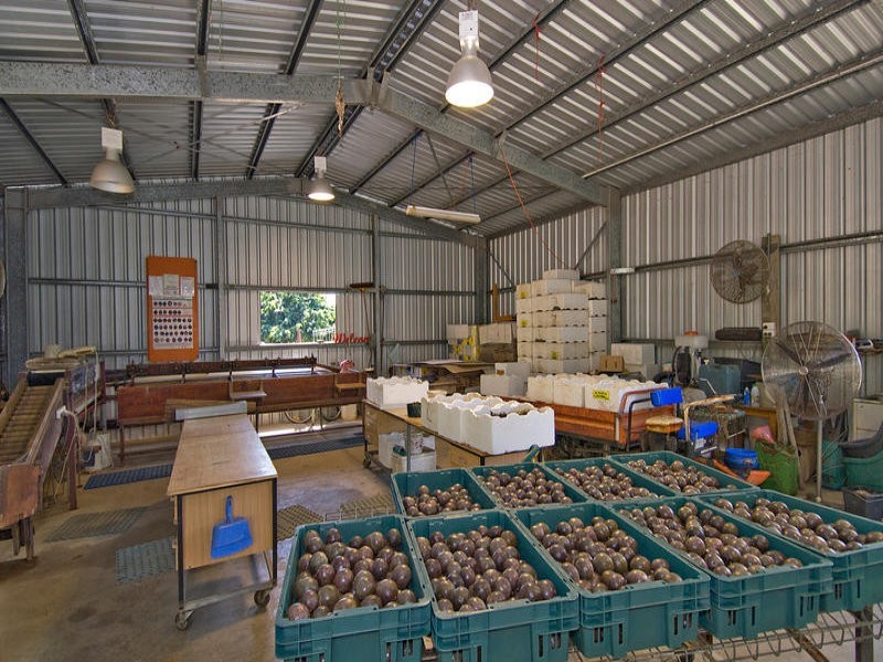 Sunbird Farm Lot 4 Beatrice Road, Daintree QLD 4873