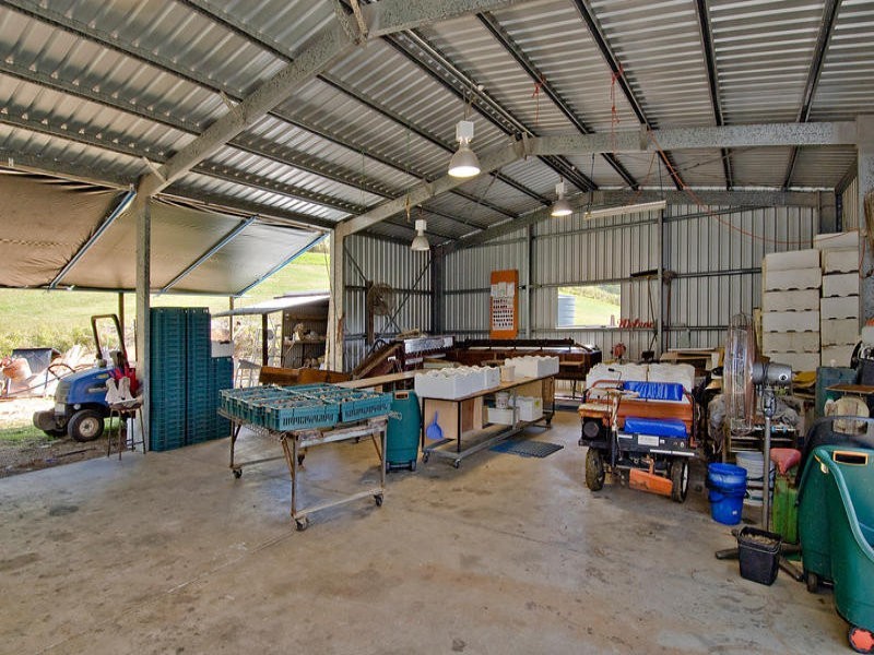 Sunbird Farm Lot 4 Beatrice Road, Daintree QLD 4873