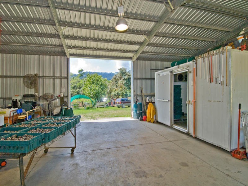 Sunbird Farm Lot 4 Beatrice Road, Daintree QLD 4873