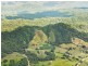Sunbird Farm Lot 4 Beatrice Road, Daintree QLD 4873