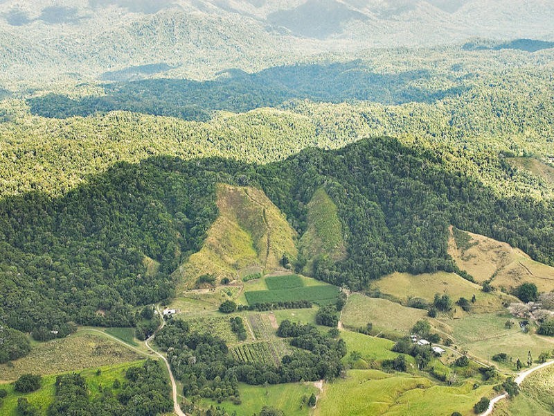 Sunbird Farm Lot 4 Beatrice Road, Daintree QLD 4873