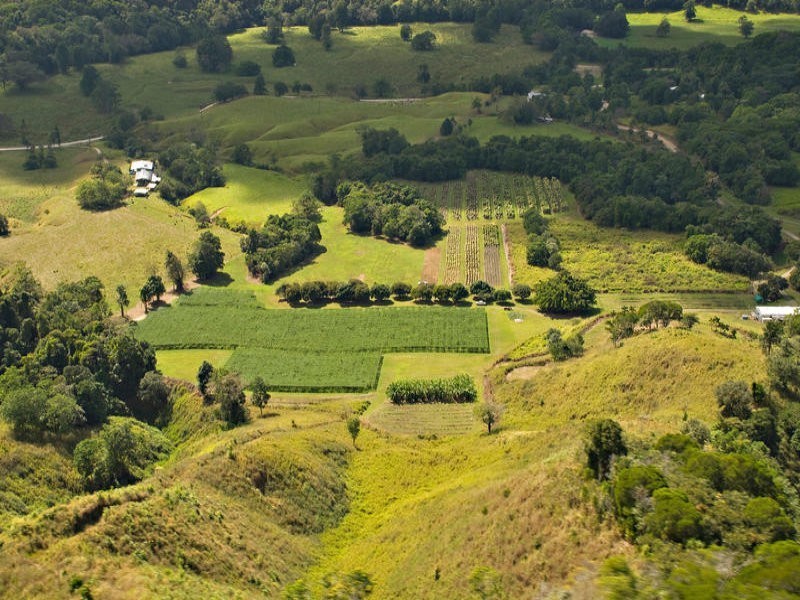 Sunbird Farm Lot 4 Beatrice Road, Daintree QLD 4873