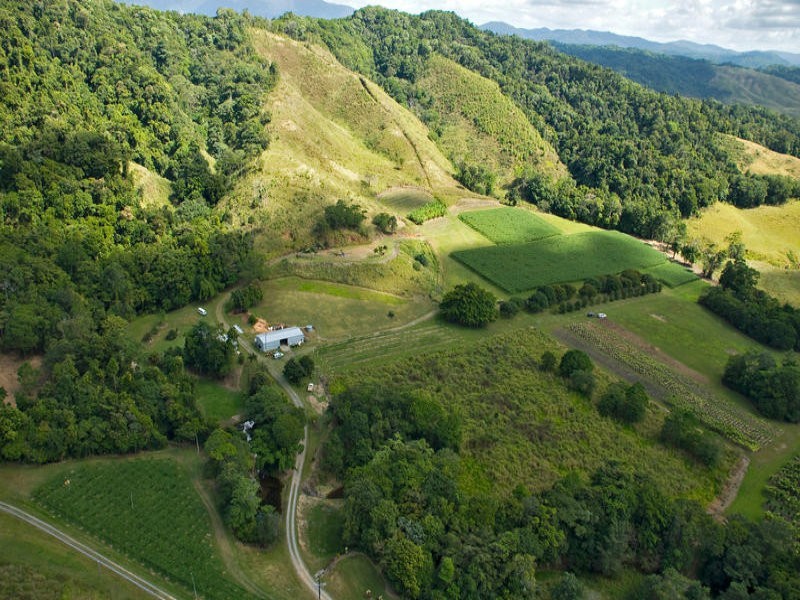Sunbird Farm Lot 4 Beatrice Road, Daintree QLD 4873