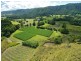 Sunbird Farm Lot 4 Beatrice Road, Daintree QLD 4873