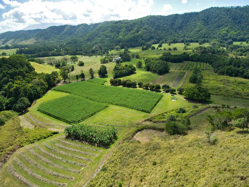 Sunbird Farm Lot 4 Beatrice Road, Daintree QLD 4873