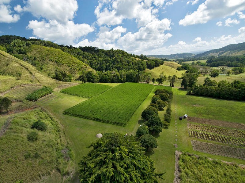 Sunbird Farm Lot 4 Beatrice Road, Daintree QLD 4873