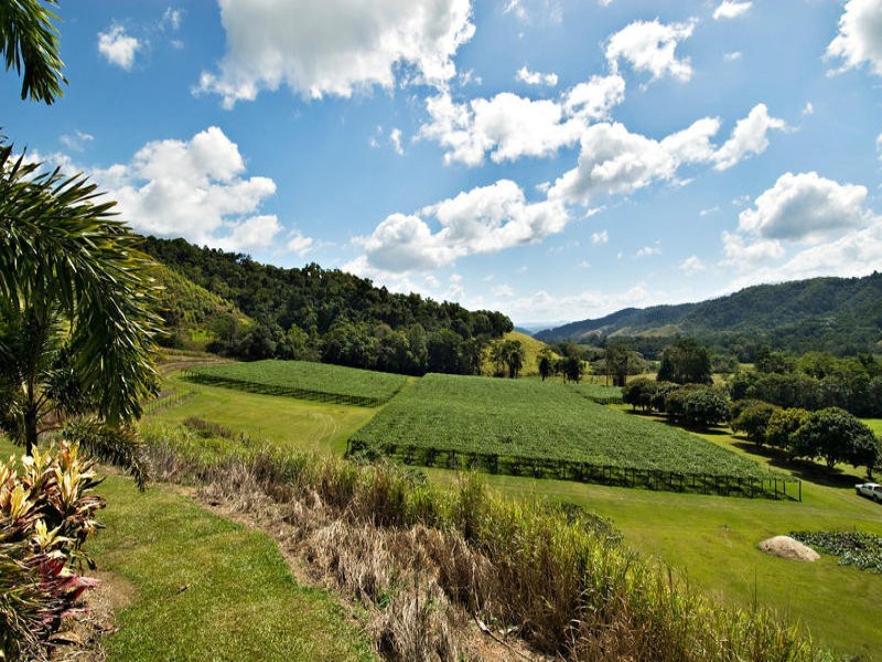 Sunbird Farm Lot 4 Beatrice Road, Daintree QLD 4873