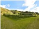 Sunbird Farm Lot 4 Beatrice Road, Daintree QLD 4873