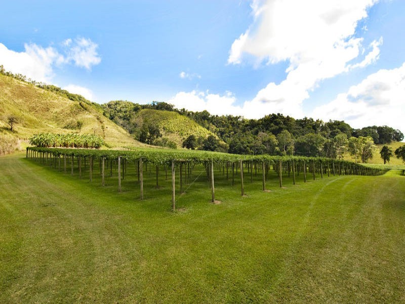 Sunbird Farm Lot 4 Beatrice Road, Daintree QLD 4873
