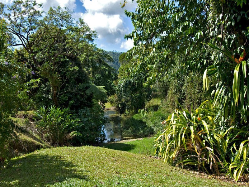 Sunbird Farm Lot 4 Beatrice Road, Daintree QLD 4873