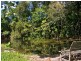 Sunbird Farm Lot 4 Beatrice Road, Daintree QLD 4873