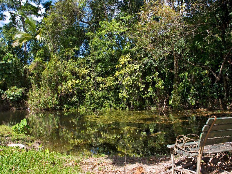 Sunbird Farm Lot 4 Beatrice Road, Daintree QLD 4873
