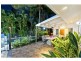 3 Oliva Street, Palm Cove QLD 4879