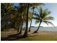3 Oliva Street, Palm Cove QLD 4879