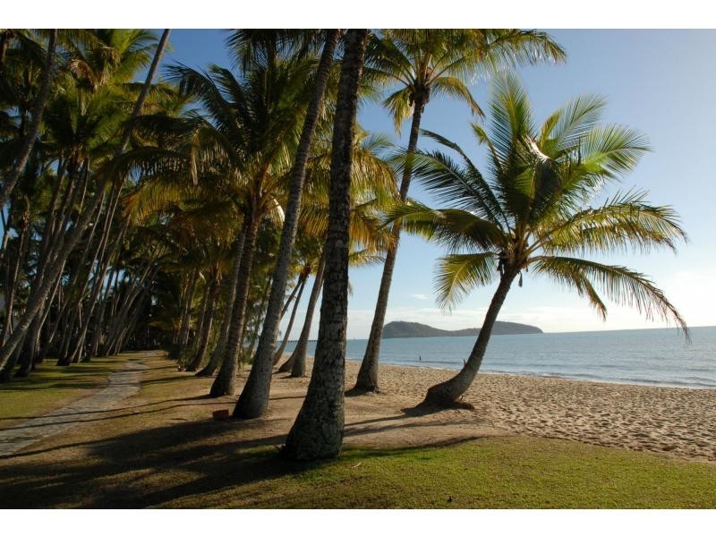 3 Oliva Street, Palm Cove QLD 4879