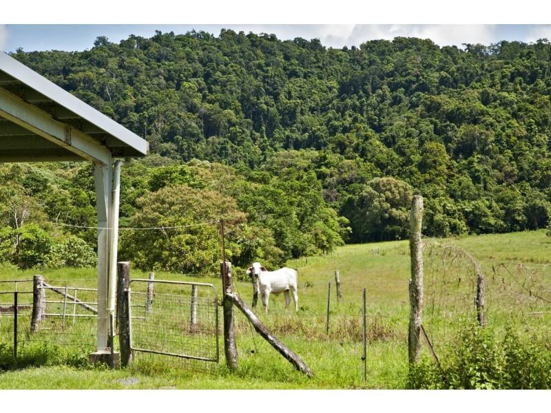 L4 Davidson Road, Whyanbeel QLD 4873