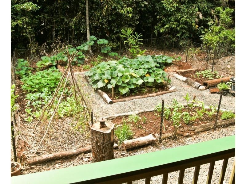 L188 Bloodwood Road – COW BAY, Daintree QLD 4873