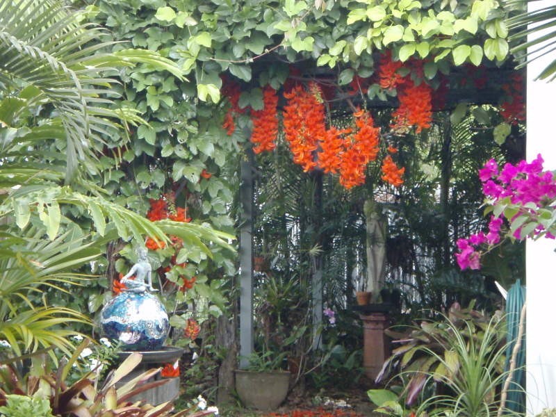 1 Barka Close, Wonga QLD 4873