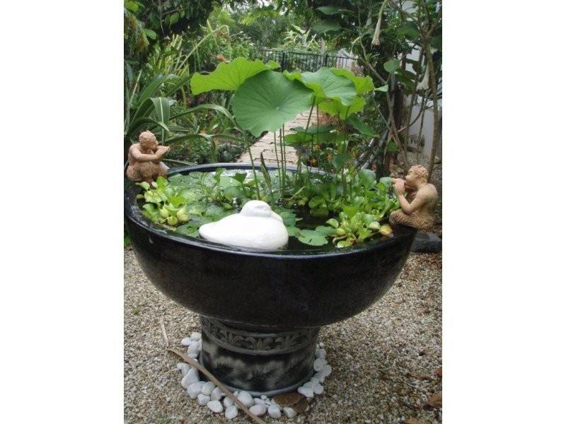 1 Barka Close, Wonga QLD 4873