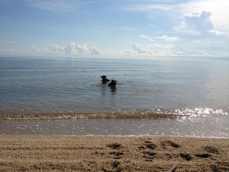 8 Shalom Close, Cooya Beach QLD 4873