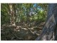 44 Borzi Road, Shannonvale QLD 4873