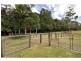 44 Borzi Road, Shannonvale QLD 4873