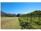 44 Borzi Road, Shannonvale QLD 4873