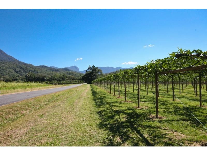 44 Borzi Road, Shannonvale QLD 4873