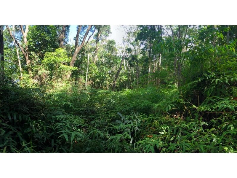 L63 George Road, Forest Creek QLD 4873